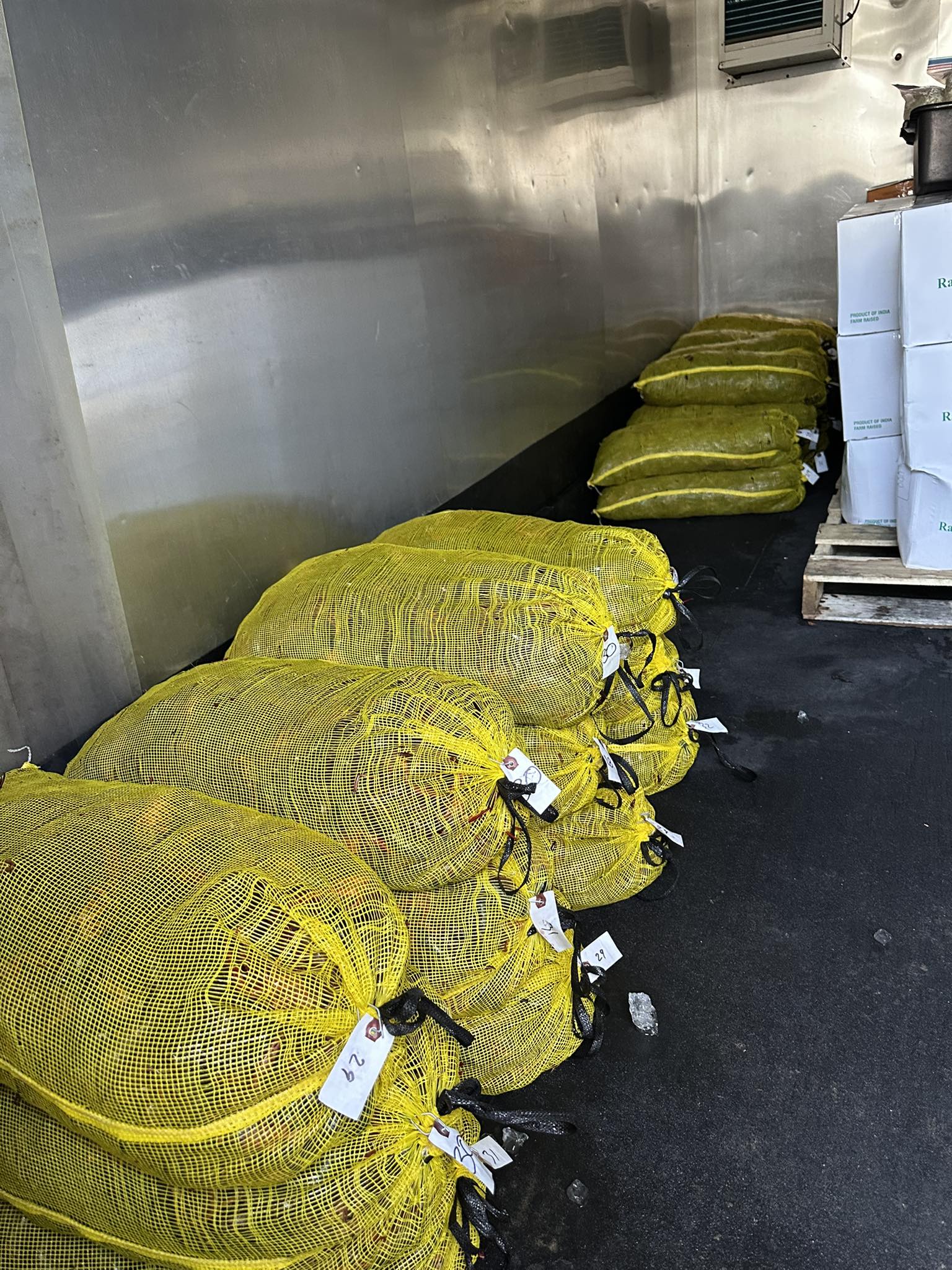 SELECT Premium Crawfish Sack - Live Full Sack