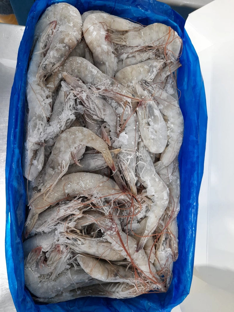 Shrimp 5lbs Bag 21/25